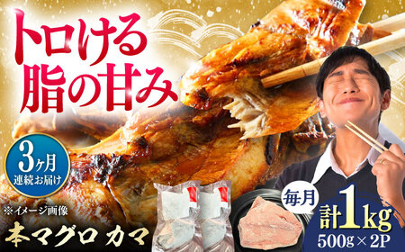 【全3回定期便】対馬産 本マグロ カマ 1kg ≪対馬市≫【桐谷商店】 トロの華 対馬 新鮮 マグロ かま 鮪[WAQ096]