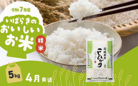 【令和7年産】精米 5kg コシヒカリ 4月発送 白米 5kg×1袋