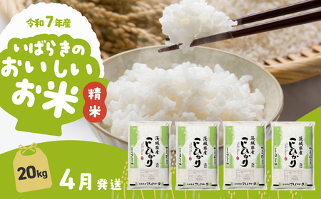 【令和7年産】精米 コシヒカリ 20kg 4月発送 白米 20kg(5kg×4袋)