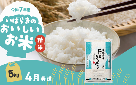 米 令和7年産 精米 5kg にじのきらめき 4月発送