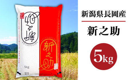 B7-SK051B新潟県長岡産新之助5kg