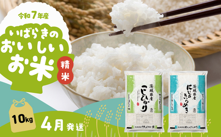 【令和7年産】精米 たべくらべ 10kg 4月発送 白米 10kg(5kg×2袋)