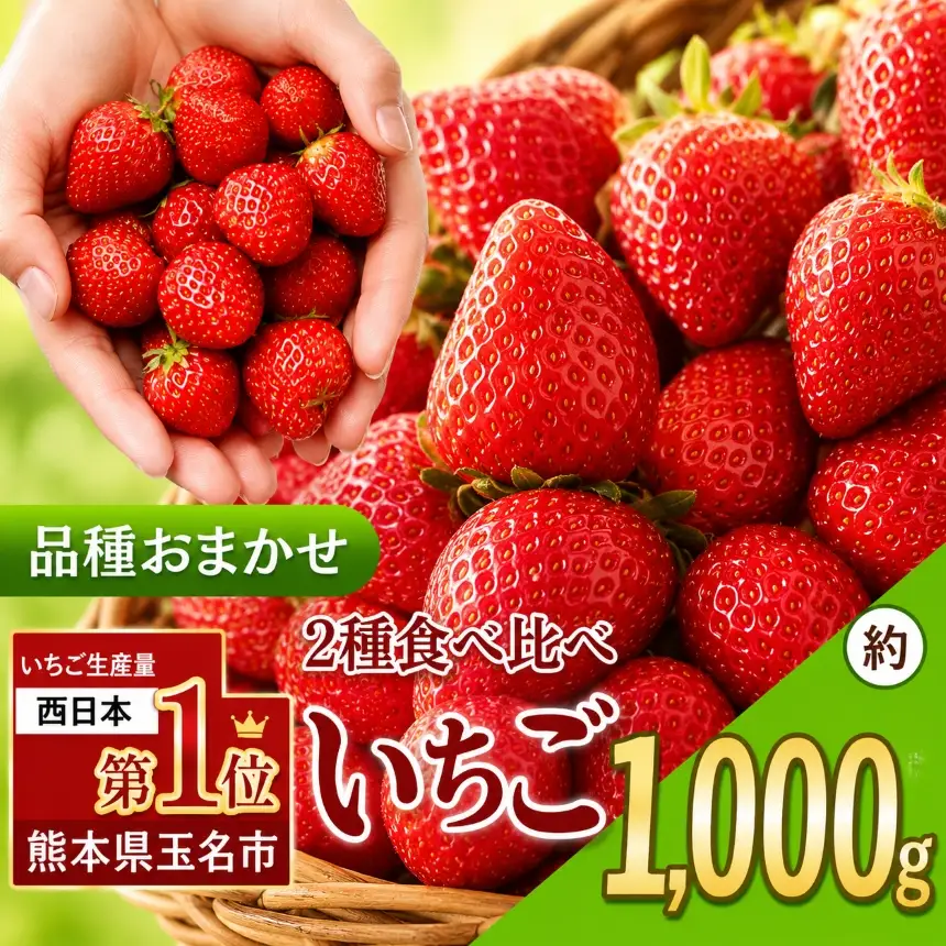 イチゴ 生産量 西 日本一 ！厳選農家直送 おまかせ 2種のいちご 食べ比べ 約 1000g | フルーツ 果物 くだもの いちご イチゴ 苺 西日本一 産地直送 食べ比べセット 熊本県 玉名市