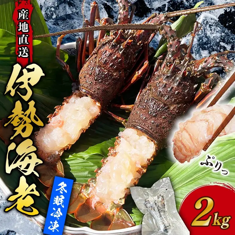 【 訳あり 】 伊勢海老 冷凍 2kg いせえび 海老 えび