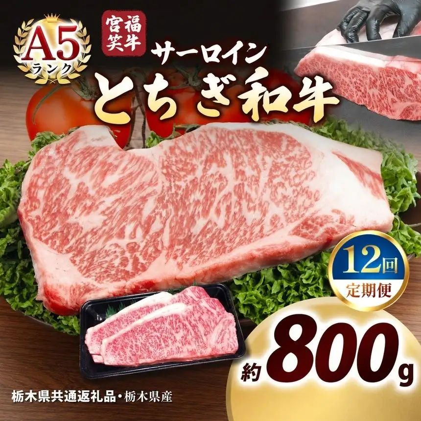 [定期便12回]宮福笑牛(とちぎ和牛) A5 サーロインステーキ 200g×4枚｜数量限定 黒毛 和牛 お肉 栃木県共通返礼品 栃木県産