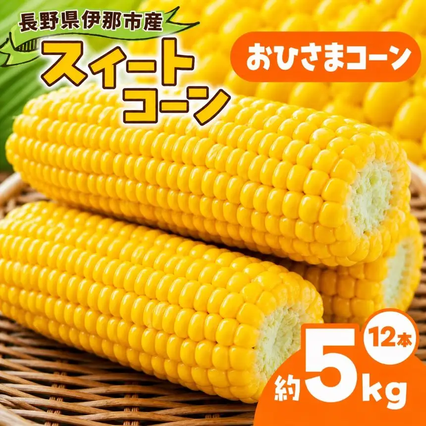とうもろこし 伊那市産 スイートコーン 約5kg 2Lサイズ 12本入り おひさまコーン 【013-51】