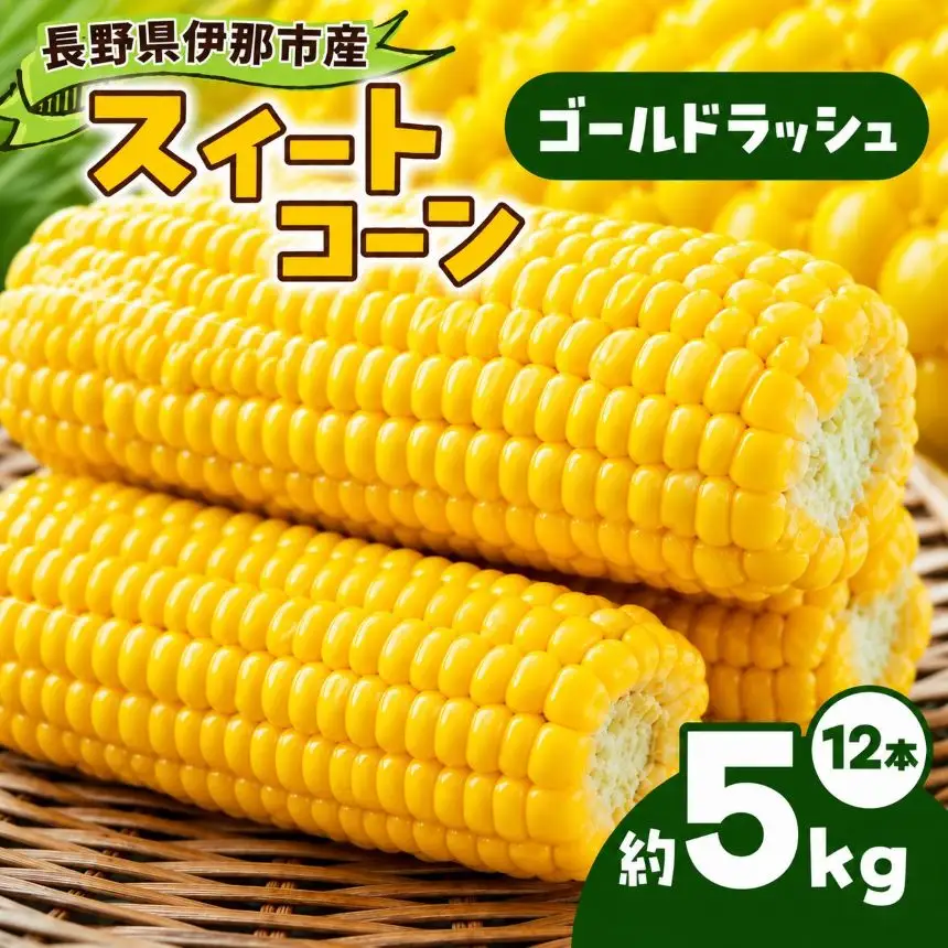 とうもろこし 伊那市産 スイートコーン 約5kg 2Lサイズ 12本入り ゴールドラッシュ 【013-53】