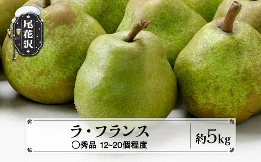 先行予約 ラ・フランス ◯秀品 約5kg 令和8年産 2026年産 佐竹物産 sb-lamsx5