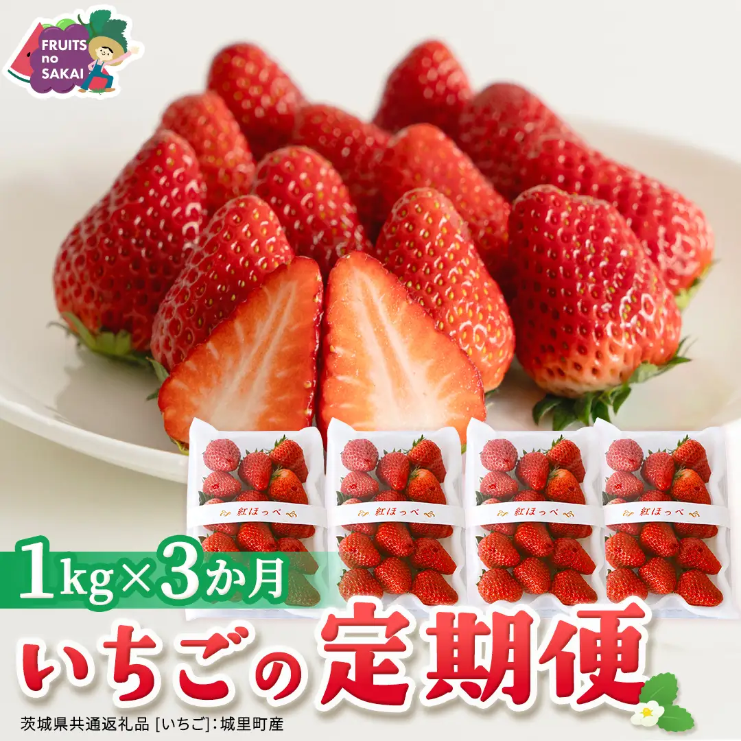 【定期便】いちご3ヶ月連続お届け便 （250g×4パック）×3回　【2027年1月から発送開始】（茨城県共通返礼品 [いちご]：城里町産）