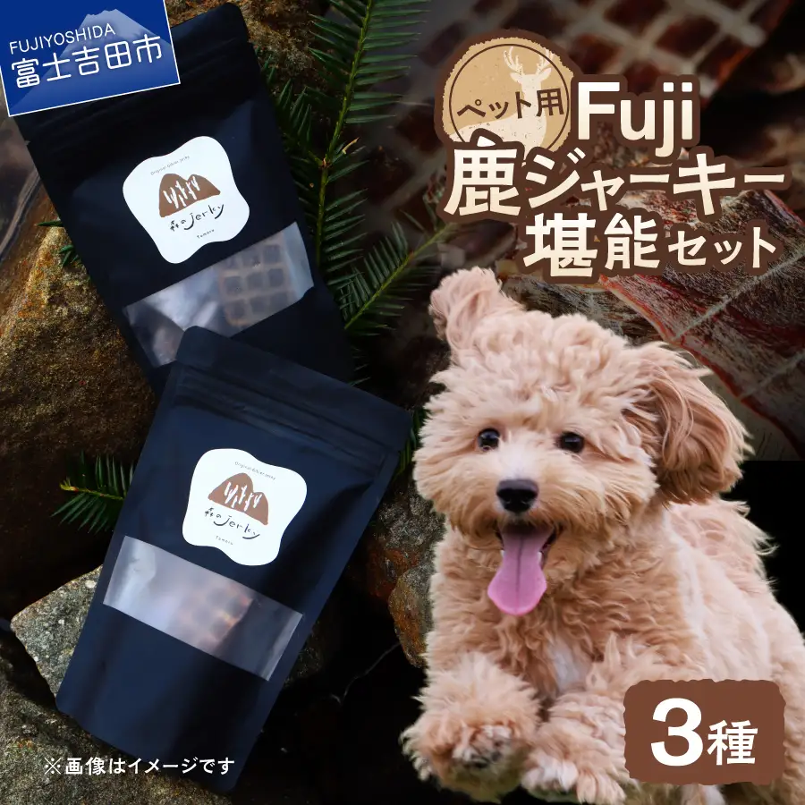 ペットフード Fuji鹿ジャーキー 堪能セット ジビエ 国産 手作り ペットフード
