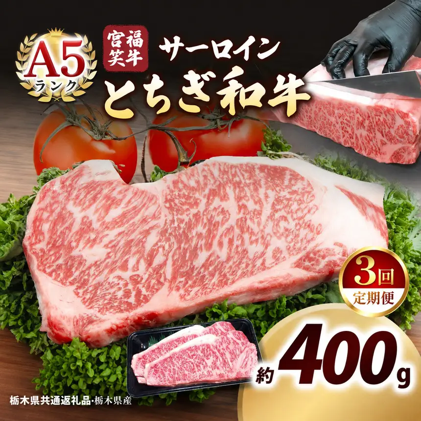 [定期便3回]宮福笑牛(とちぎ和牛) A5 サーロインステーキ 200g×2枚｜数量限定 黒毛 和牛 お肉 栃木県共通返礼品 栃木県産