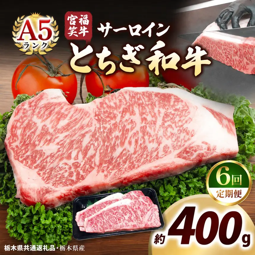 [定期便6回]宮福笑牛(とちぎ和牛) A5 サーロインステーキ 200g×2枚｜数量限定 黒毛 和牛 お肉 栃木県共通返礼品 栃木県産