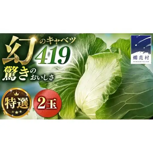 ＜レビューキャンペーン開催中＞＜7月中旬発送開始＞ 【 特選 】 まぼろしの419キャベツ 2玉 [AL020tu]