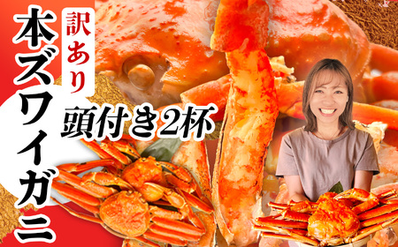本ズワイガニ 頭付き 訳あり1.5kg(2杯) 塩竈市 塩釜水産食品 かに 蟹 カニ ズワイガニ