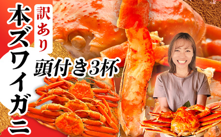 本ズワイガニ 頭付き 訳あり2.2kg(3杯) 塩竈市 塩釜水産食品 かに 蟹 カニ ズワイガニ