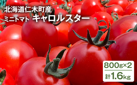 [2026年発送] 北海道 仁木町産 ミニトマト キャロルスター 1.6kg （64粒～100粒）トマト 野菜 国産 プチトマト 甘み 使いやすい サラダ お弁当 家庭用 子供に人気 リコピン [REDA FARM]