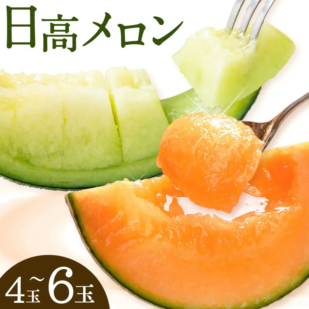 先行予約 日高メロン  4-6玉 約8-9kg のざわ農園 《7月上旬-8月中旬出荷》