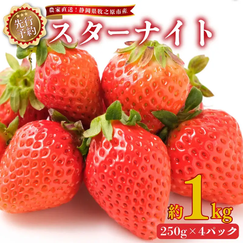 【 2027年2月上旬から順次発送 】苺 スターナイト 1kg 苺