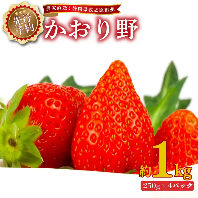 【 2027年2月中旬から順次発送 】苺 かおり野 1kg 苺