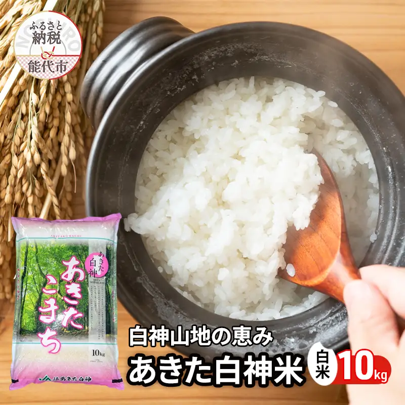 秋田県産 あきたこまち あきた白神米 10kg  令和7年産 精米 白米 お米 ご飯 ブランド米 銘柄米 おにぎり お弁当 産地直送
