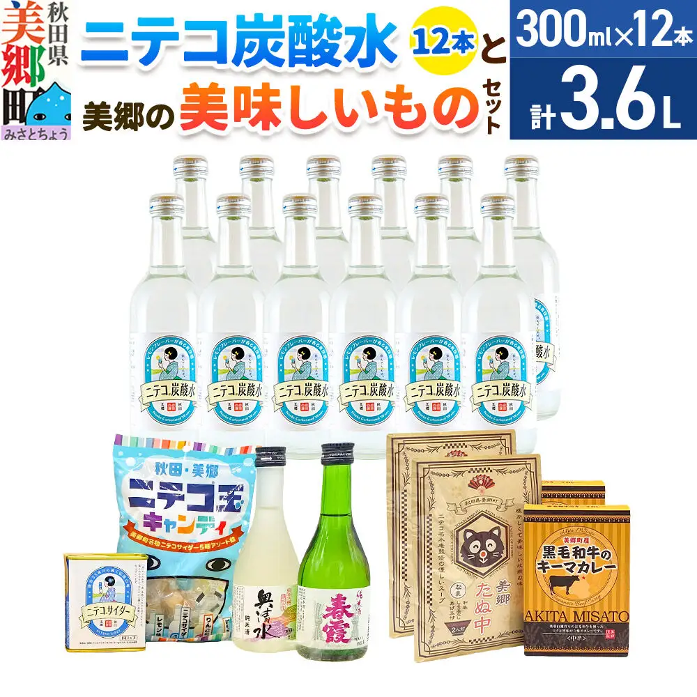 炭酸飲料 ニテコ炭酸水12本と美郷の美味しいものセット