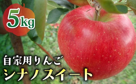 【先行受付2026年発送】農家直送！自家用りんご シナノスイート　5kg （約12～18個）｜のららぼ農園 ※2026年10月上旬～10月下旬発送予定