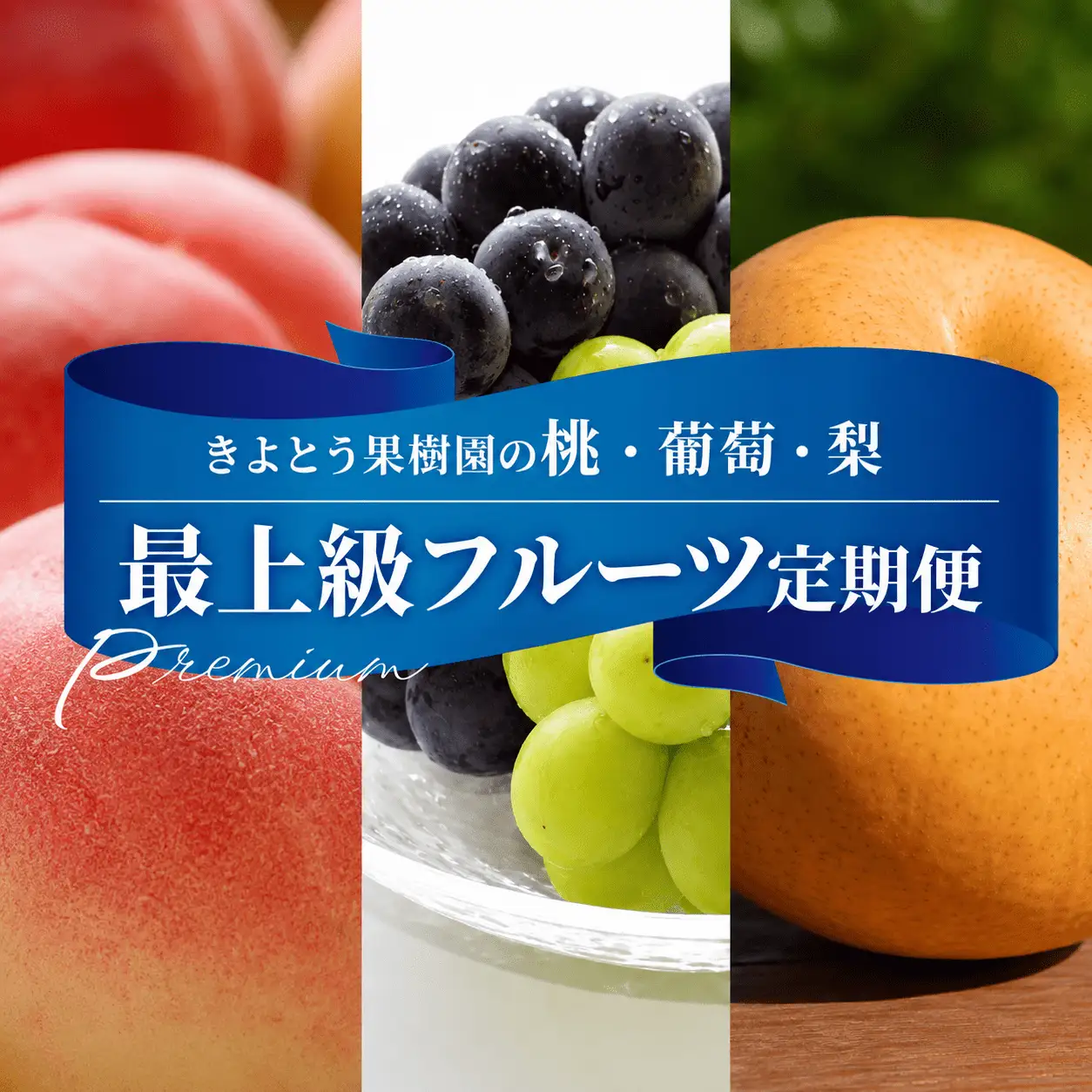 桃、ぶどう、梨の最上級品を旬にお届けする3回便！ (定期便)(岡山県産) 【KF-T033-01】