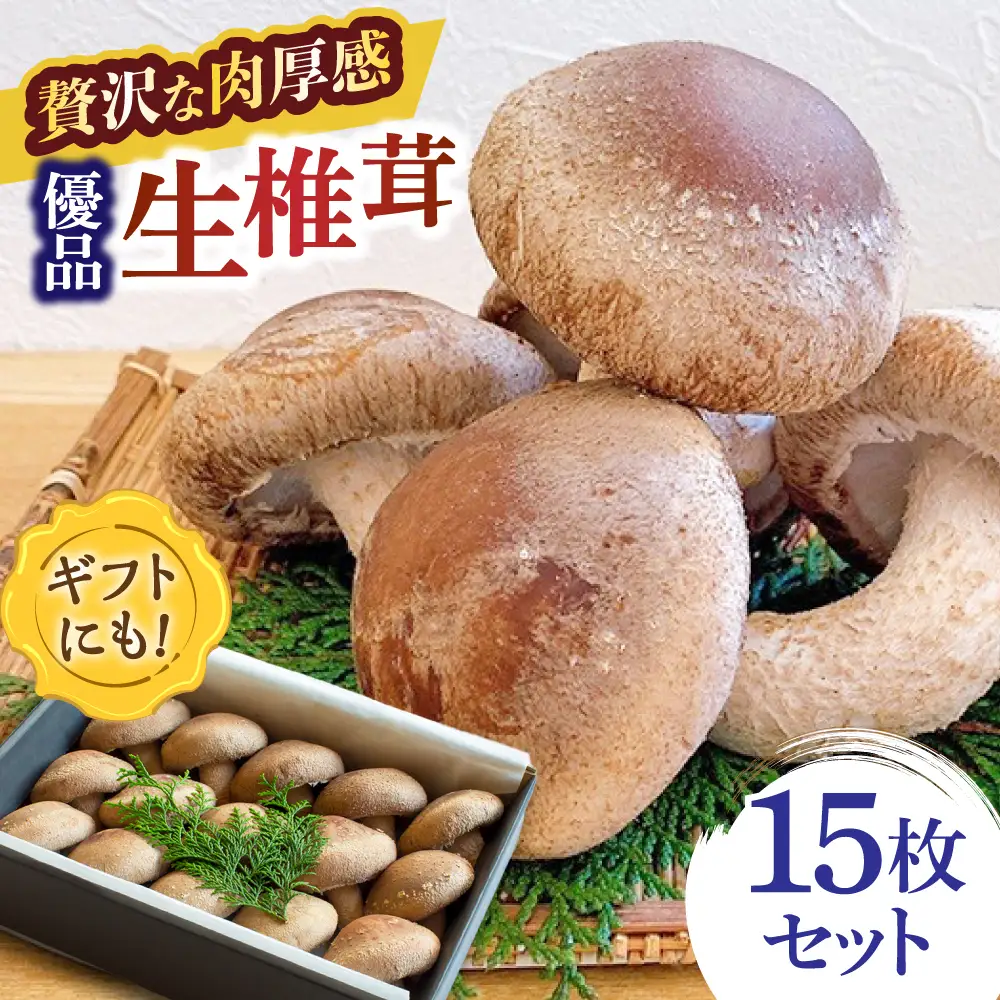 生しいたけ 【優品】15枚セット [SBX003] しいたけ