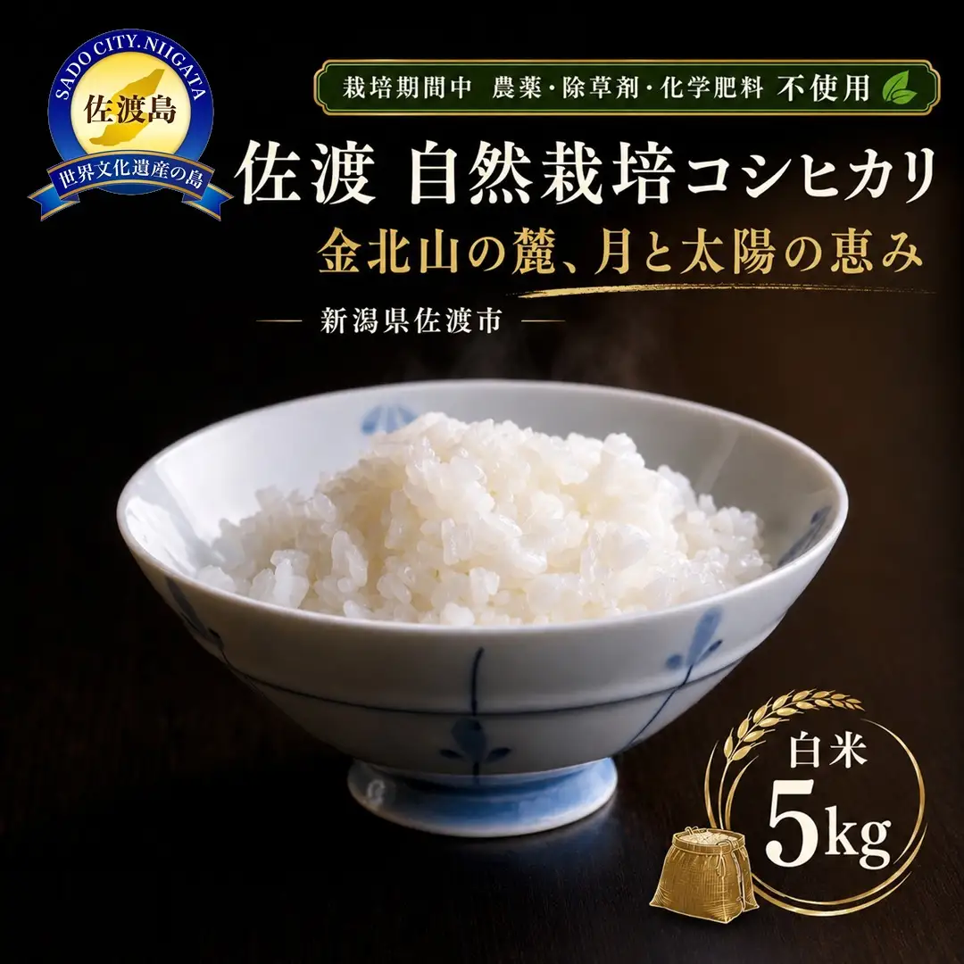 【佐渡産 こだわりの自然栽培米】令和7年度産 コシヒカリ 白米5kg