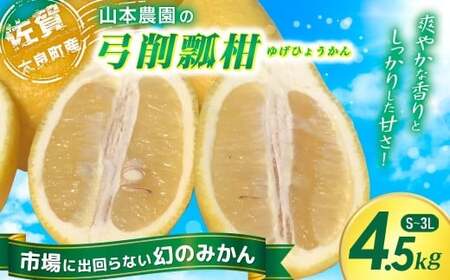 山本農園の珍果 弓削瓢柑 （ゆげひょうかん） 4.5kg 【2027年3月下旬～4月下旬発送予定】 ひょう柑 みかん 蜜柑 ミカン おれんじ オレンジ フルーツ 果物 くだもの ジューシー 柑橘 国産 完熟 ジューシー プレゼント 贈り物 ギフト 希少 レア 佐賀県 太良町 N127x2