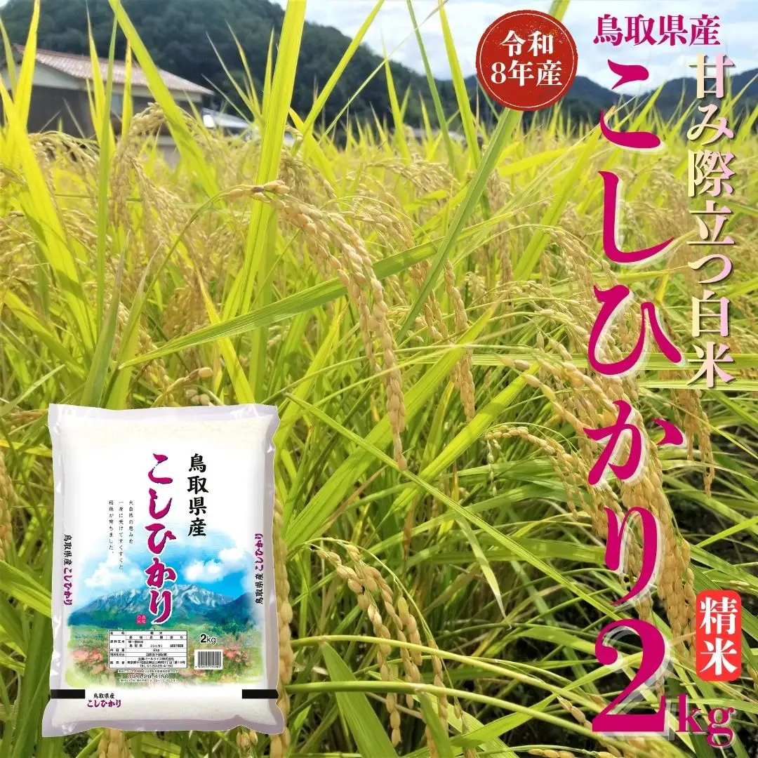 選べる 内容量 こしひかり コシヒカリ 精米 2kg 令和8年産 鳥取県 送料無料 お米 米 ご飯 銘柄米 こめ 白米 おにぎり おむすび 甘い ツヤ 銘柄 湯梨浜町 国産 2026年産 JA 人気 おすすめ 冷めてもおいしい | 354M