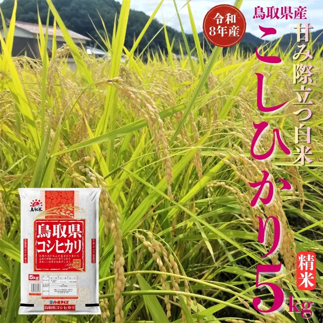 選べる 内容量 こしひかり コシヒカリ 精米 5kg 令和8年産 鳥取県 送料無料 お米 米 ご飯 銘柄米 こめ 白米 おにぎり おむすび 甘い ツヤ 銘柄 湯梨浜町 国産 2026年産 JA 人気 おすすめ 冷めてもおいしい | 355M