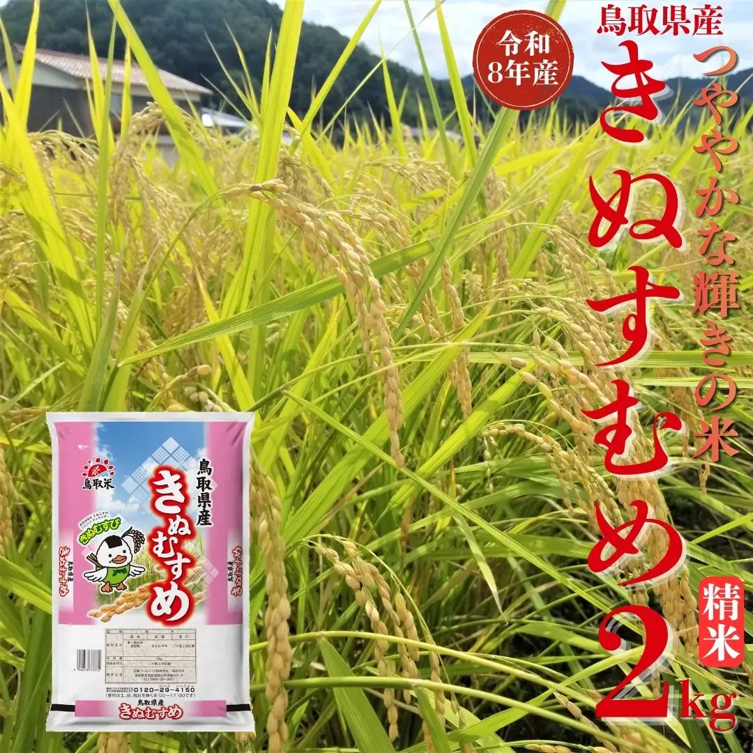 選べる 内容量 きぬむすめ 精米 2kg 令和8年産 鳥取県 送料無料 お米 米 ご飯 銘柄米 こめ 白米 おにぎり おむすび 甘い ツヤ 銘柄 湯梨浜町 国産 2026年産 JA 人気 おすすめ 冷めてもおいしい | 357M