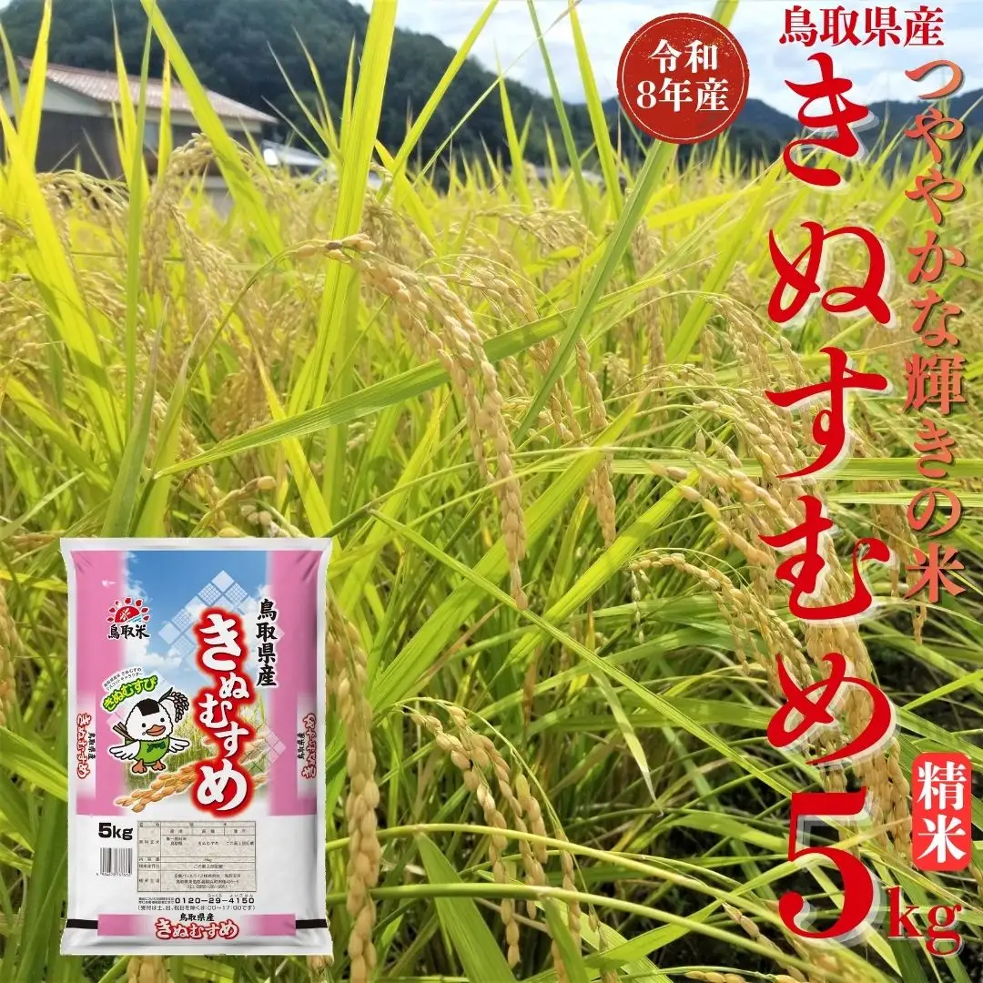 選べる 内容量 きぬむすめ 精米 5kg 令和8年産 鳥取県 送料無料 お米 米 ご飯 銘柄米 こめ 白米 おにぎり おむすび 甘い ツヤ 銘柄 湯梨浜町 国産 2026年産 JA 人気 おすすめ 冷めてもおいしい | 358M
