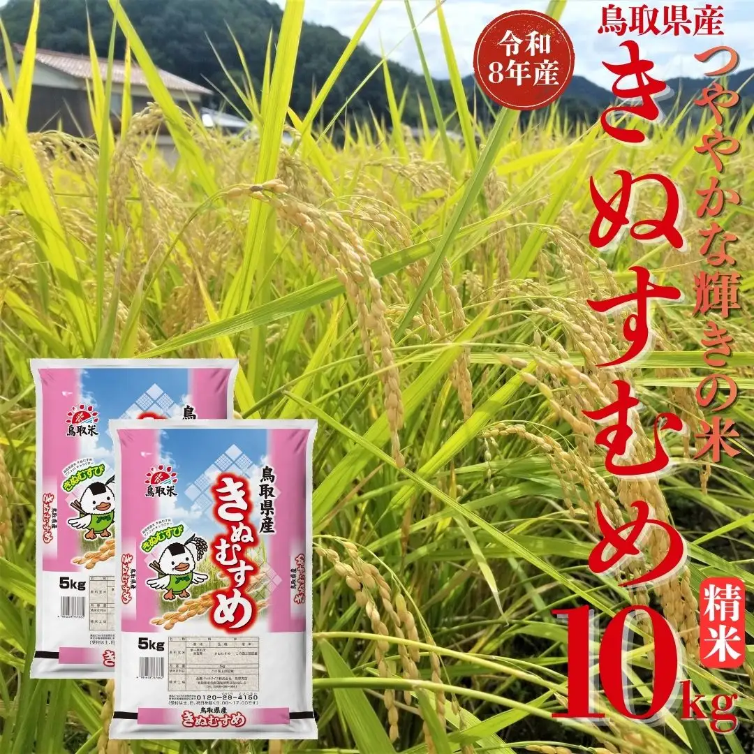 選べる 内容量 きぬむすめ 精米 10kg 令和8年産 鳥取県 送料無料 お米 米 ご飯 銘柄米 こめ 白米 おにぎり おむすび 甘い ツヤ 銘柄 湯梨浜町 国産 2026年産 JA 人気 おすすめ 冷めてもおいしい | 359M