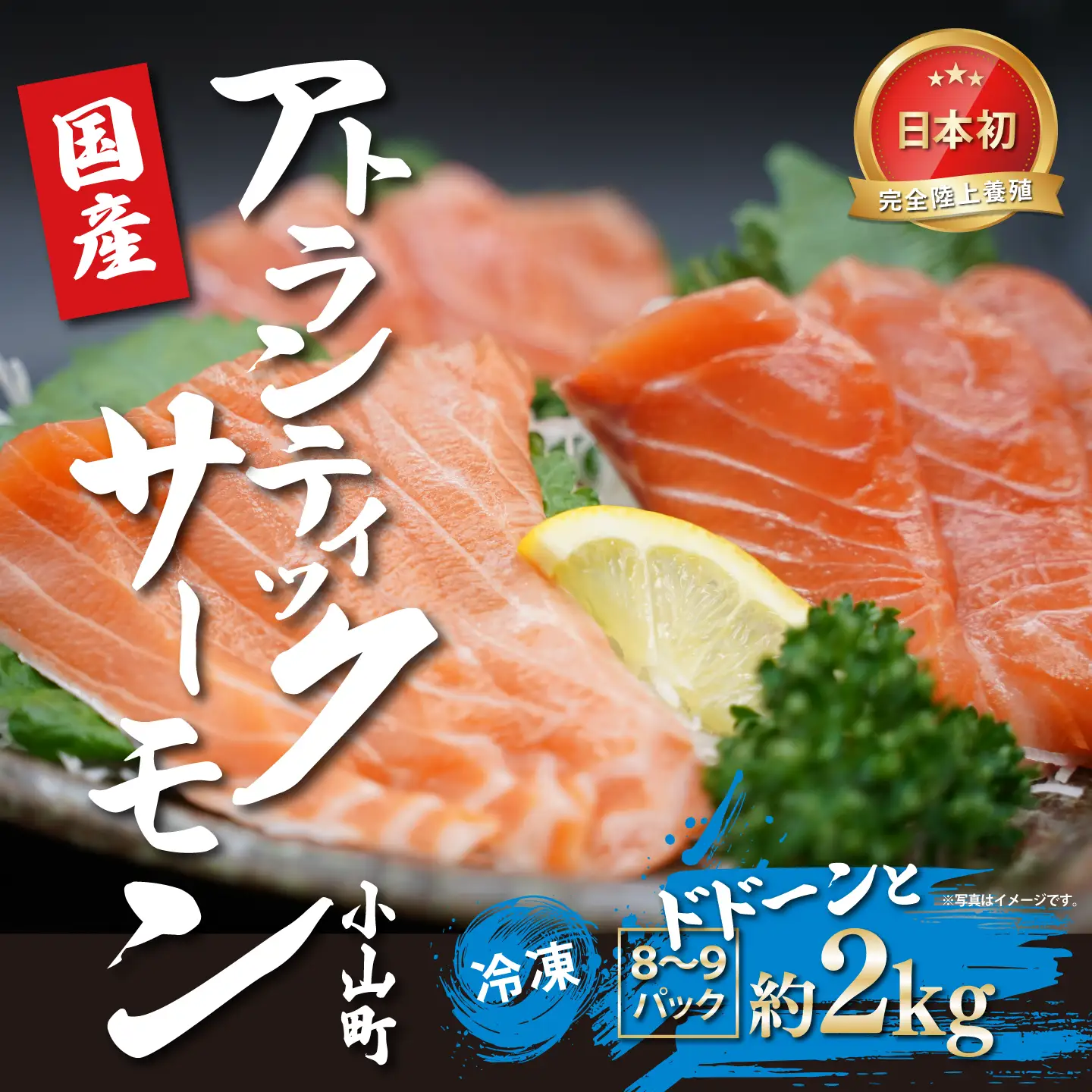国産サーモン 冷凍 8～9P 約2kg サーモン