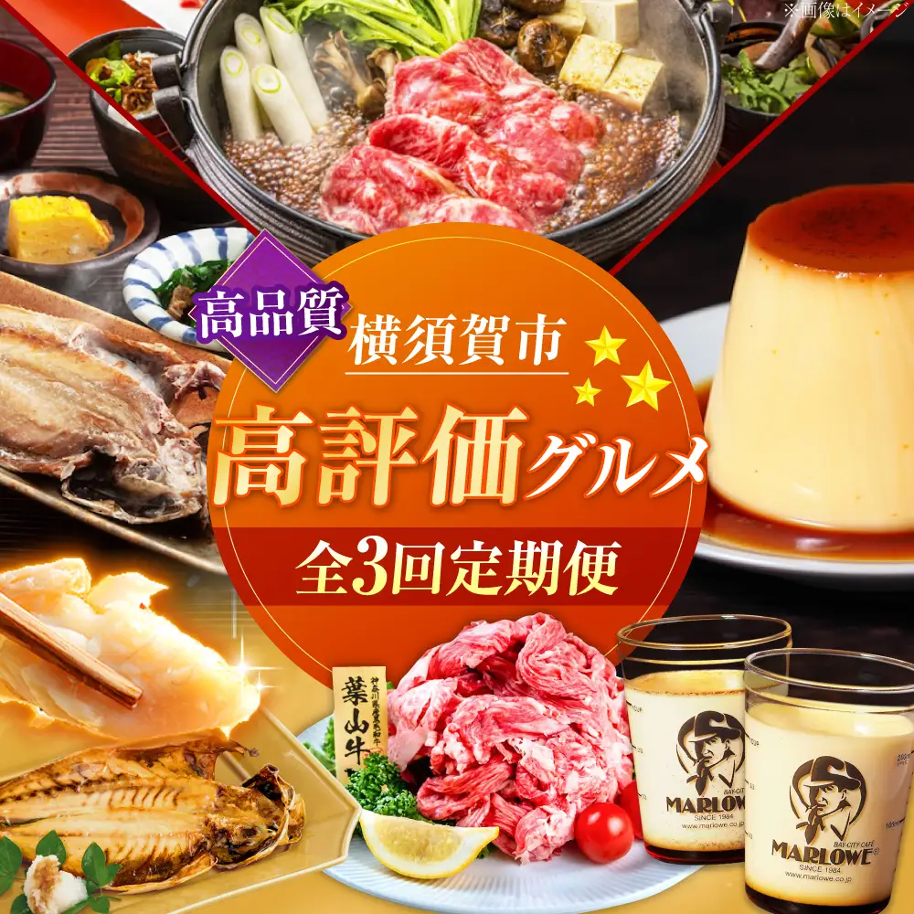 【全3回定期便】横須賀 高評価 定期便[AKZZ030] 定期便