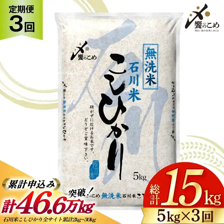 【3回定期便】 無洗米 石川米 こしひかり 5kg 無洗
