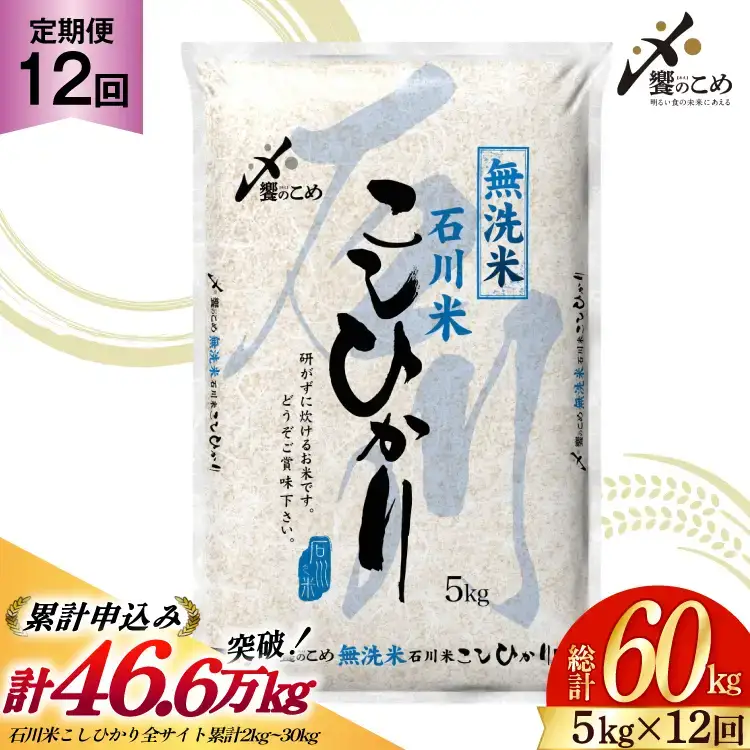 米 無洗米 定期便 石川米 こしひかり 5kg 12回