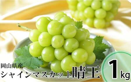 シャインマスカット 晴王 約500g×2房 （計約1kg） 【2026年8月下旬～11月下旬迄発送 ／ マスカット 葡萄 ぶどう 果物 果実 フルーツ 種なし 皮ごと 大粒 岡山県 美咲町 冷蔵