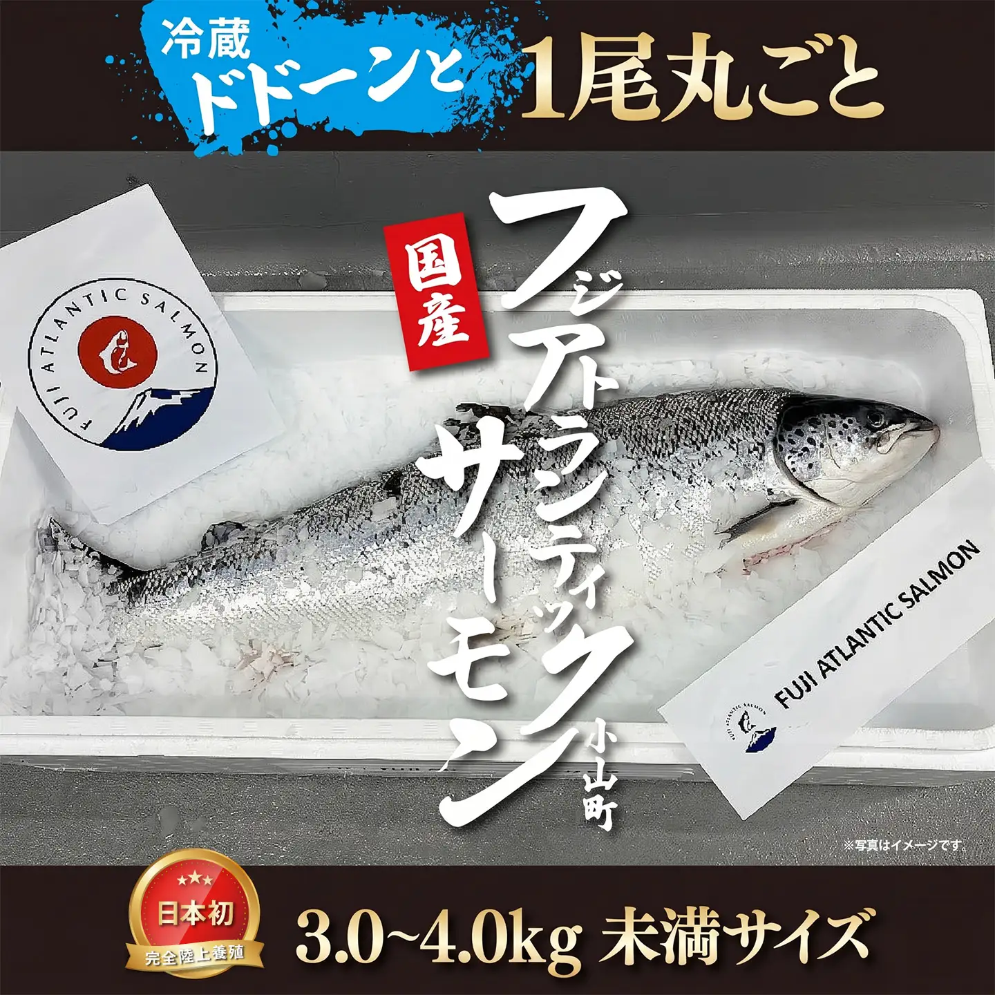 フジアトランティックサーモン 冷蔵 1尾 3.0～4.0kg未満サイズ 国産サーモン