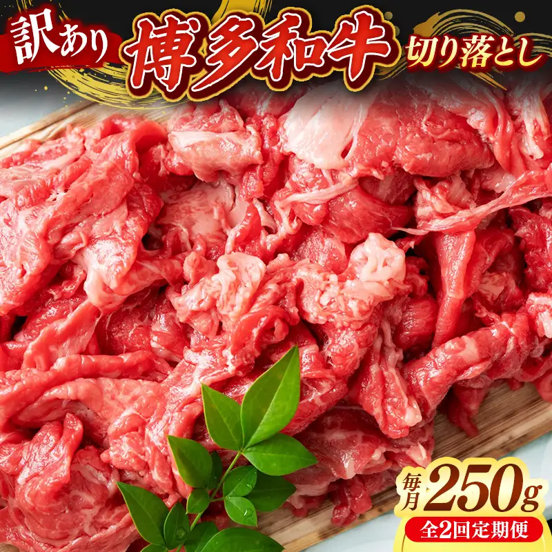 【定期便全2回】【訳あり】【A4～A5ランク】博多和牛 切り落とし 250g【牛肉 肉 牛 和牛 博多和牛 ブランド牛 A4 A5ランク 切り落とし 訳あり おすすめ 筑前町 ふるさと納税 送料無料 FL219】【202610】