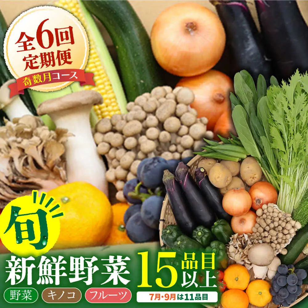 【6回定期便】【奇数月コース】野菜定期便 15品目以上 野菜 定期便[SCZ002]