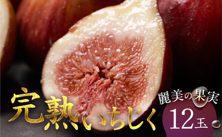 完熟いちじく 12玉 国産 旬 いちじく