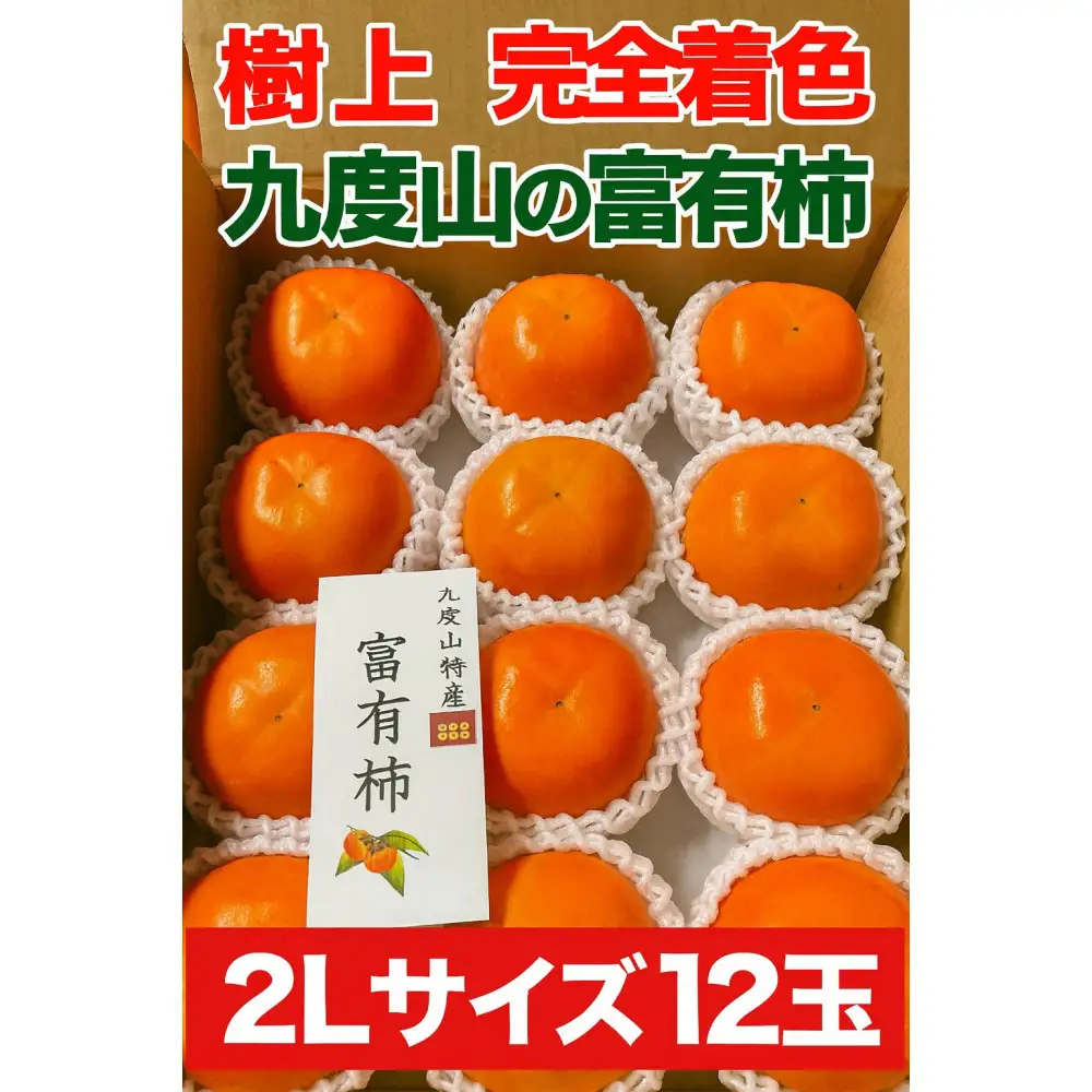 【2026年発送】こだわりの樹上完全着色「九度山の富有柿」2Lサイズ12玉