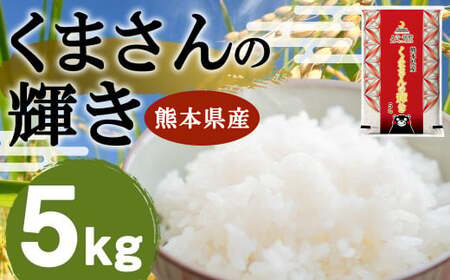 【令和7年産】くまさんの輝き 5kg 【2026年9月下旬迄発送予定】