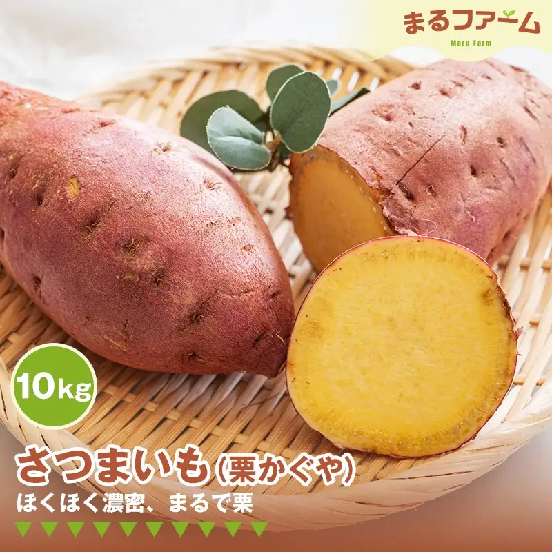サツマイモ（栗かぐや） 10kg ／ さつまいも 栗かぐや 国産 新品種 希少品種 甘み ホクホク 食感 黄金色 果肉 焼き芋 料理用 大容量 日常使い 千葉県 特産 No.375