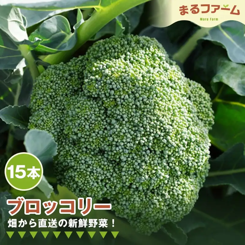 ブロッコリー 約4kg 野菜 まるファーム