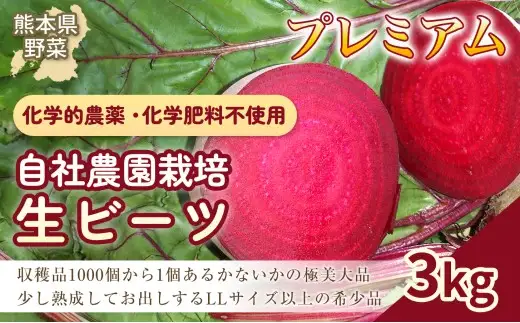 自社農園栽培 プレミアム生ビーツ3kg ビーツ やさい 野菜 健康 美容 冷蔵 国産 九州 熊本県 あさぎり町