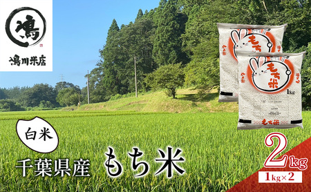 もち米 峰の雪もち 白米 千葉県産 もち米【2kg】